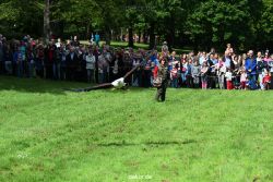 grugapark-greifvogelschau-2012-04-470