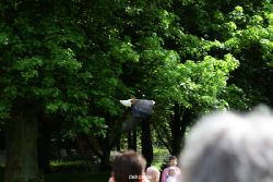 grugapark-greifvogelschau-2012-04-475