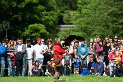 grugapark-greifvogelschau-2012-04-483