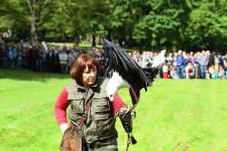 grugapark-greifvogelschau-2012-04-488