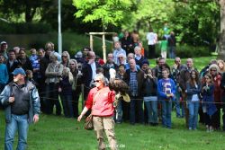 grugapark-greifvogelschau-2012-04-496