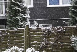 voegel-im-garten-2012-amseln-winter-001