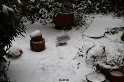 voegel-im-garten-2012-amseln-winter-009
