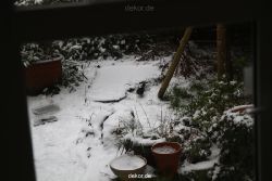 voegel-im-garten-2012-amseln-winter-010