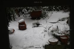 voegel-im-garten-2012-amseln-winter-014