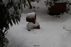 voegel-im-garten-2012-der-garten-winter-001