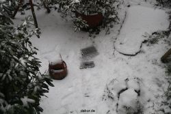 voegel-im-garten-2012-der-garten-winter-003