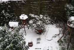 voegel-im-garten-2012-der-garten-winter-004