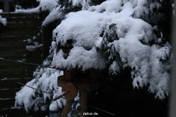 voegel-im-garten-2012-der-garten-winter-007