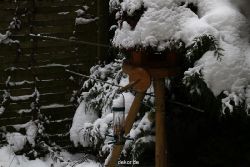 voegel-im-garten-2012-der-garten-winter-011