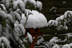 voegel-im-garten-2012-der-garten-winter-012