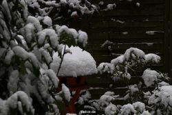voegel-im-garten-2012-der-garten-winter-013