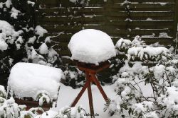 voegel-im-garten-2012-der-garten-winter-016