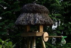 voegel-im-garten-2012-der-garten-005