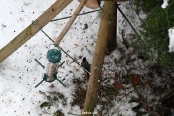 voegel-im-garten-2012-dompfaff-winter-001