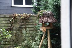 voegel-im-garten-2012-dompfaff-001