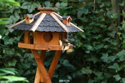 voegel-im-garten-2012-humpelheiner-028