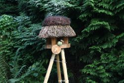 voegel-im-garten-2012-kleiber-002