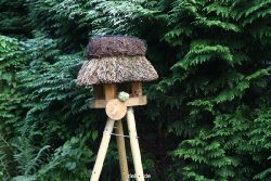 voegel-im-garten-2012-kleiber-004