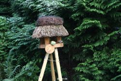 voegel-im-garten-2012-kleiber-005