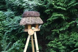 voegel-im-garten-2012-kleiber-006