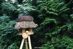 voegel-im-garten-2012-kleiber-007