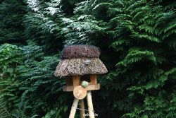 voegel-im-garten-2012-kleiber-010