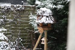voegel-im-garten-2012-meisen-winter-001