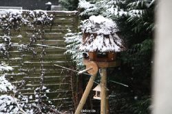 voegel-im-garten-2012-meisen-winter-002