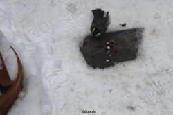 voegel-im-garten-2012-meisen-winter-024