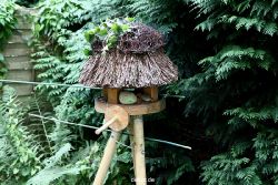 voegel-im-garten-2012-rotkehlchen-026