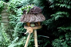 voegel-im-garten-2012-rotkehlchen-029