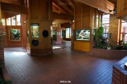 zoo-bochum-zoo-2015-03-11-002