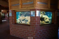 zoo-bochum-zoo-2015-03-11-003