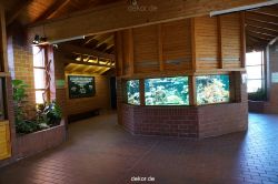 zoo-bochum-zoo-2015-03-11-004