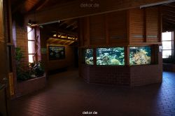 zoo-bochum-zoo-2015-03-11-005