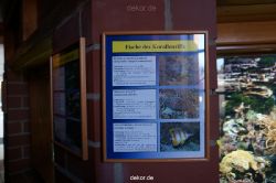 zoo-bochum-zoo-2015-03-11-007