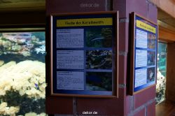 zoo-bochum-zoo-2015-03-11-008