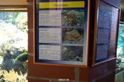 zoo-bochum-zoo-2015-03-11-010