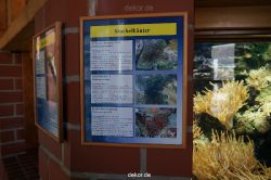 zoo-bochum-zoo-2015-03-11-011
