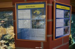 zoo-bochum-zoo-2015-03-11-012