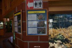 zoo-bochum-zoo-2015-03-11-017
