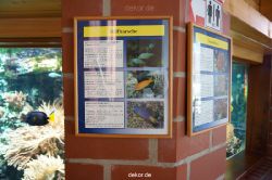 zoo-bochum-zoo-2015-03-11-020
