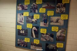 zoo-bochum-zoo-2015-03-11-022