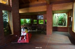 zoo-bochum-zoo-2015-03-11-028