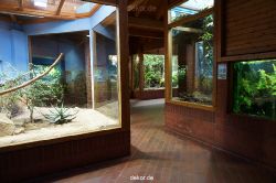 zoo-bochum-zoo-2015-03-11-029