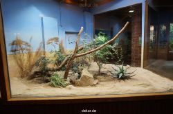 zoo-bochum-zoo-2015-03-11-030