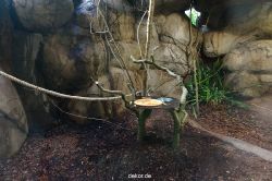zoo-bochum-zoo-2015-03-11-031