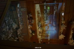 zoo-bochum-zoo-2015-03-11-035