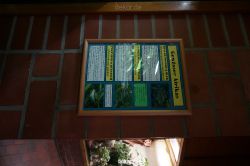 zoo-bochum-zoo-2015-03-11-038